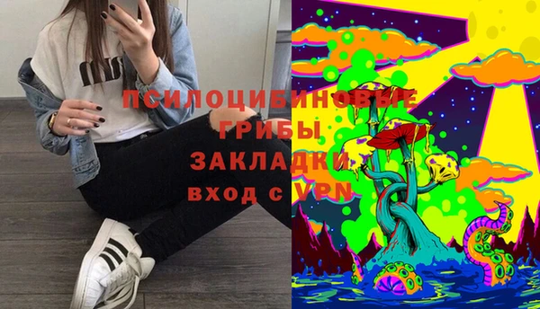 трава Каменногорск