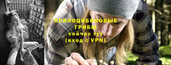 трава Каменногорск