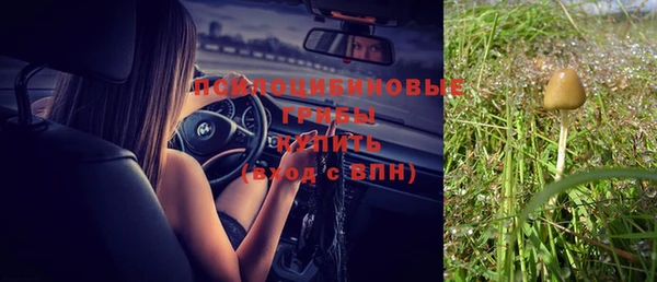 трава Каменногорск