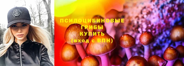 трава Каменногорск