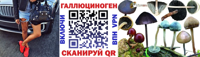 Купить где  Балахна  Галлюциногенные грибы Magic Shrooms 